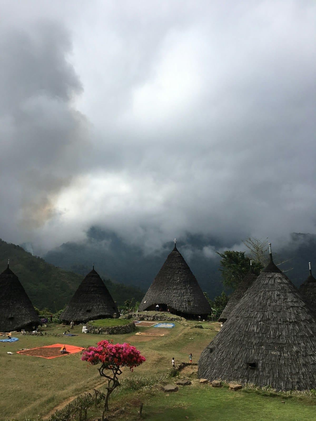 Wae Rebo traditional village with conical thatched roofs in the misty highlands of Flores, Indonesia