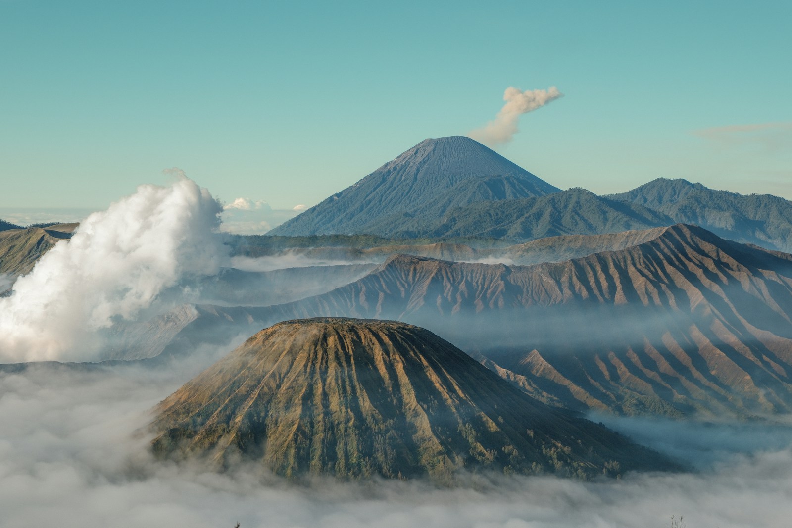 Mount Bromo and Mount Semeru volcanic peaks emerging from sea of clouds at dawn, East Java