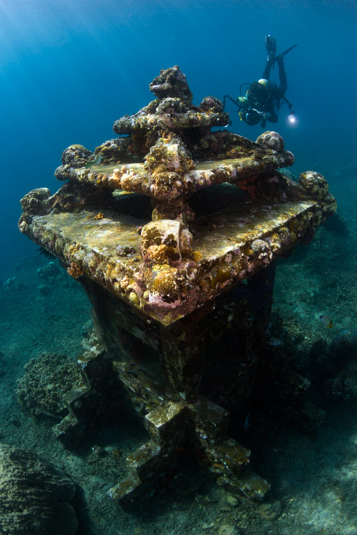 Scuba diver exploring a coral-encrusted shipwreck underwater, Amed, Bali, Indonesia