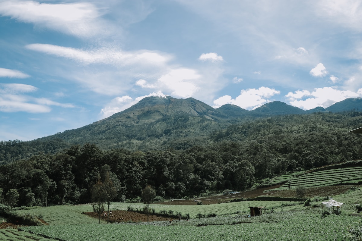Malang