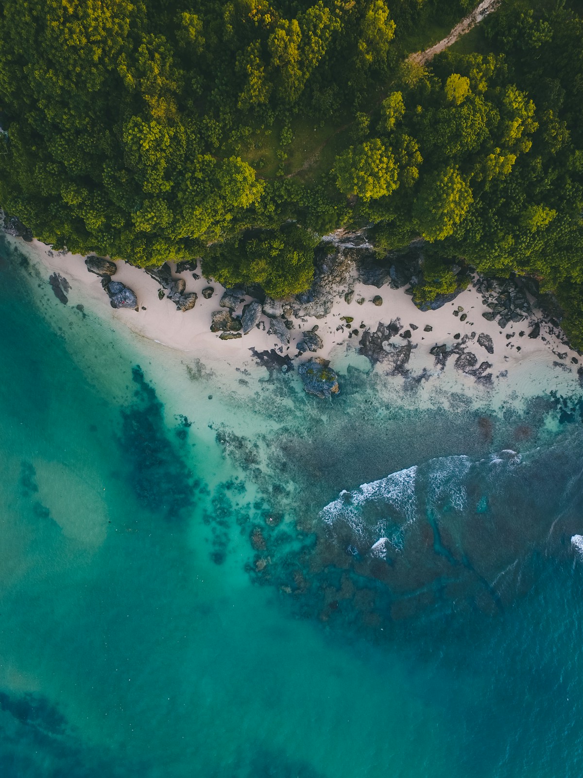Aerial view of turquoise coastal waters and tropical forest, West Sumatra, Indonesia