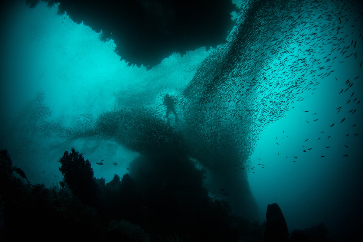Underwater scene at Bunaken National Marine Park, North Sulawesi, Indonesia