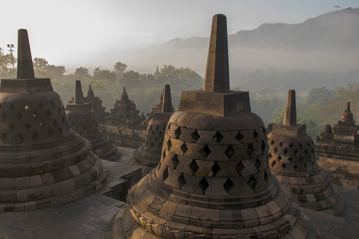 Borobudur temple at dawn viewed from a path through tropical vegetation, Central Java