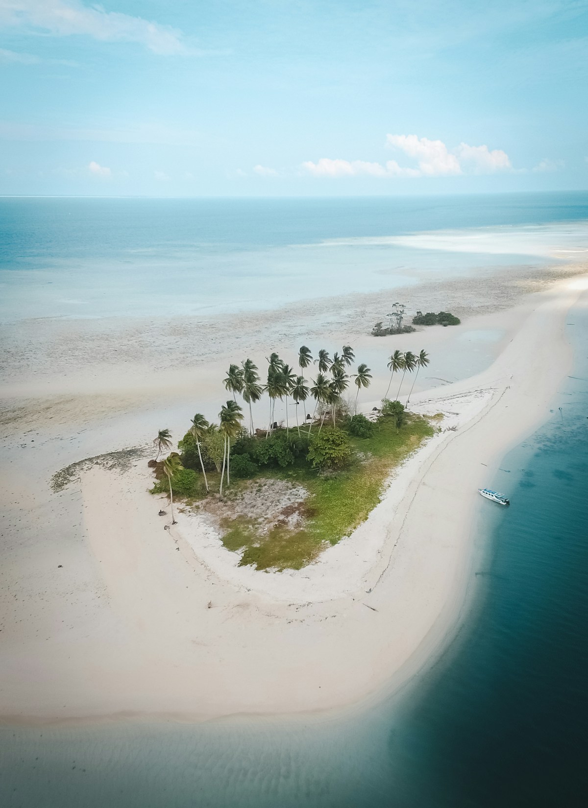 Green trees on white sand beach, Derawan Islands, East Kalimantan, Indonesia