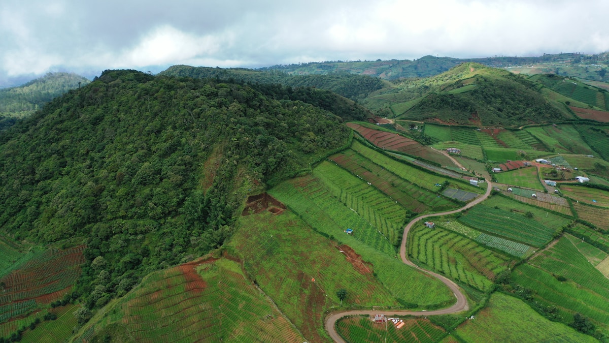 Green grass field under cloudy sky, South Sulawesi, Indonesia