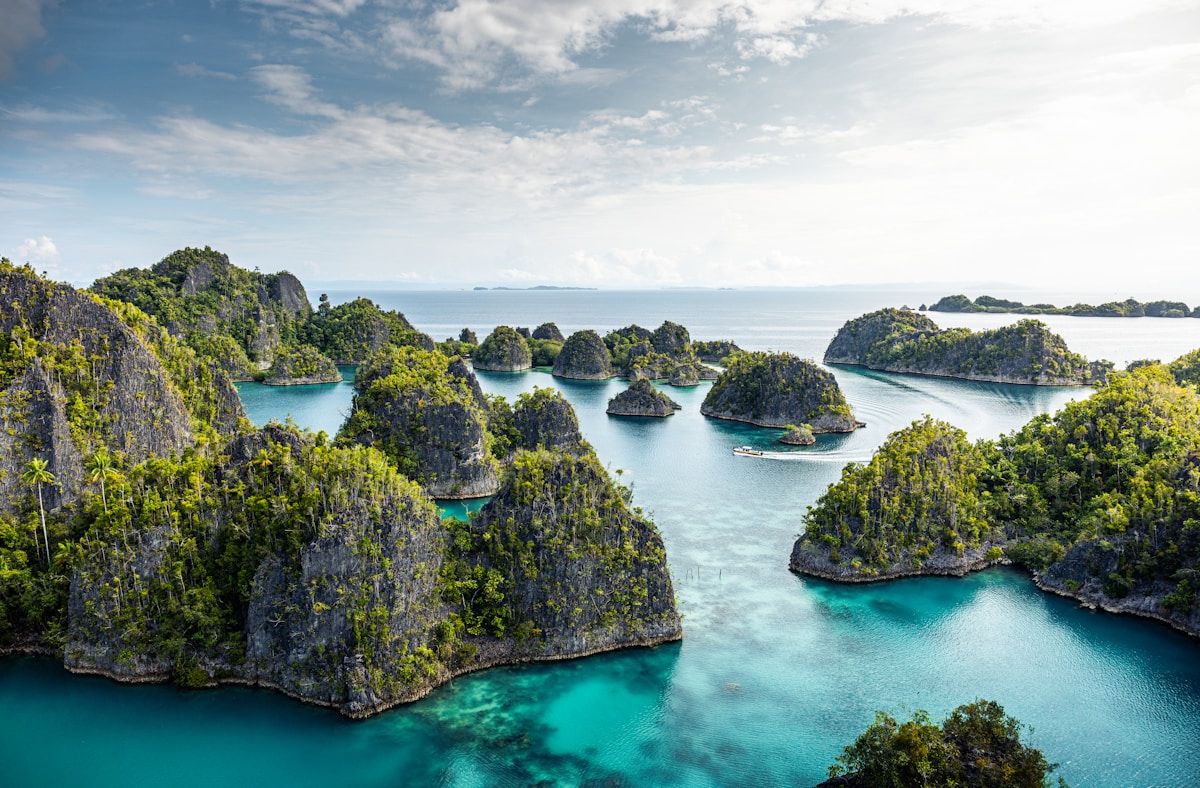 Karst limestone islands surrounded by turquoise water in Raja Ampat