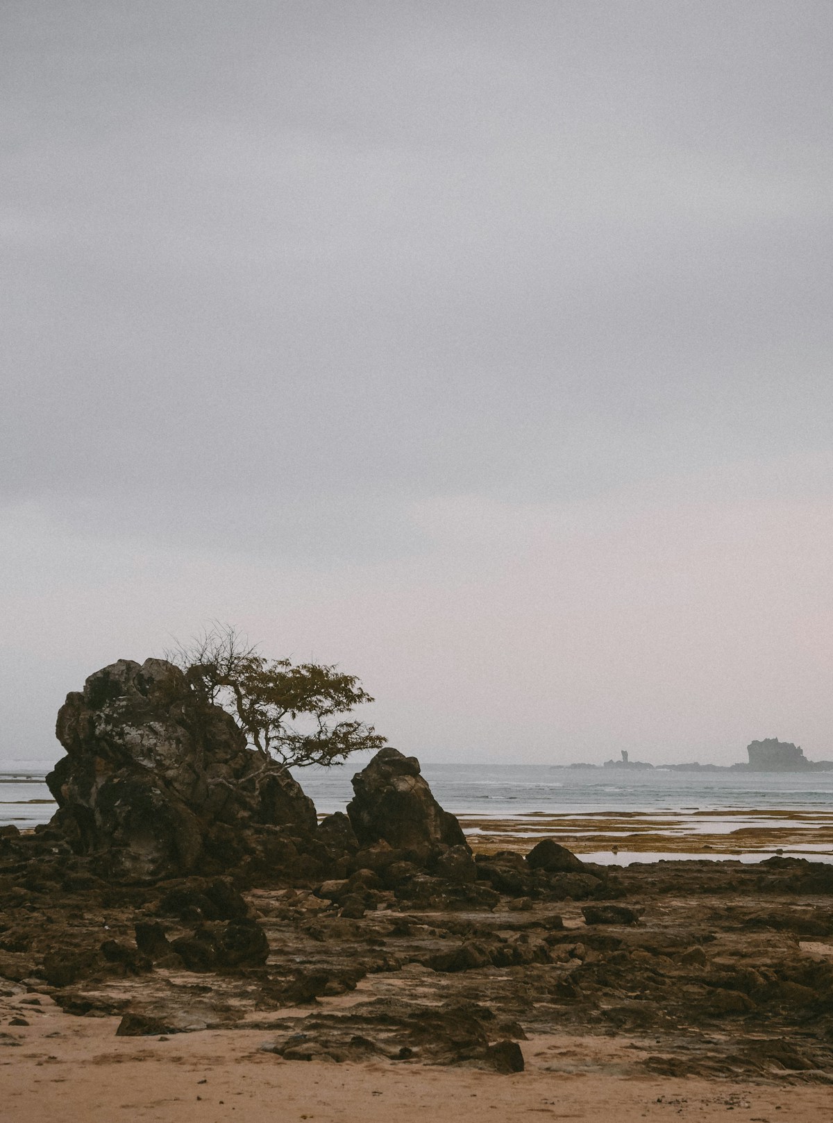 Rocky Kuta Lombok Beach with lone tree and turquoise water, Central Lombok, Indonesia