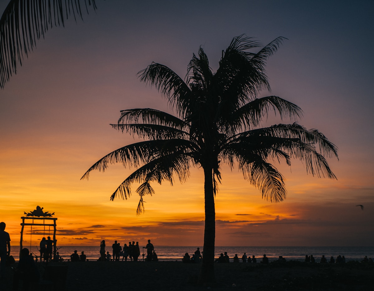 Silhouette of palm tree and people on beach, Bali, Indonesia