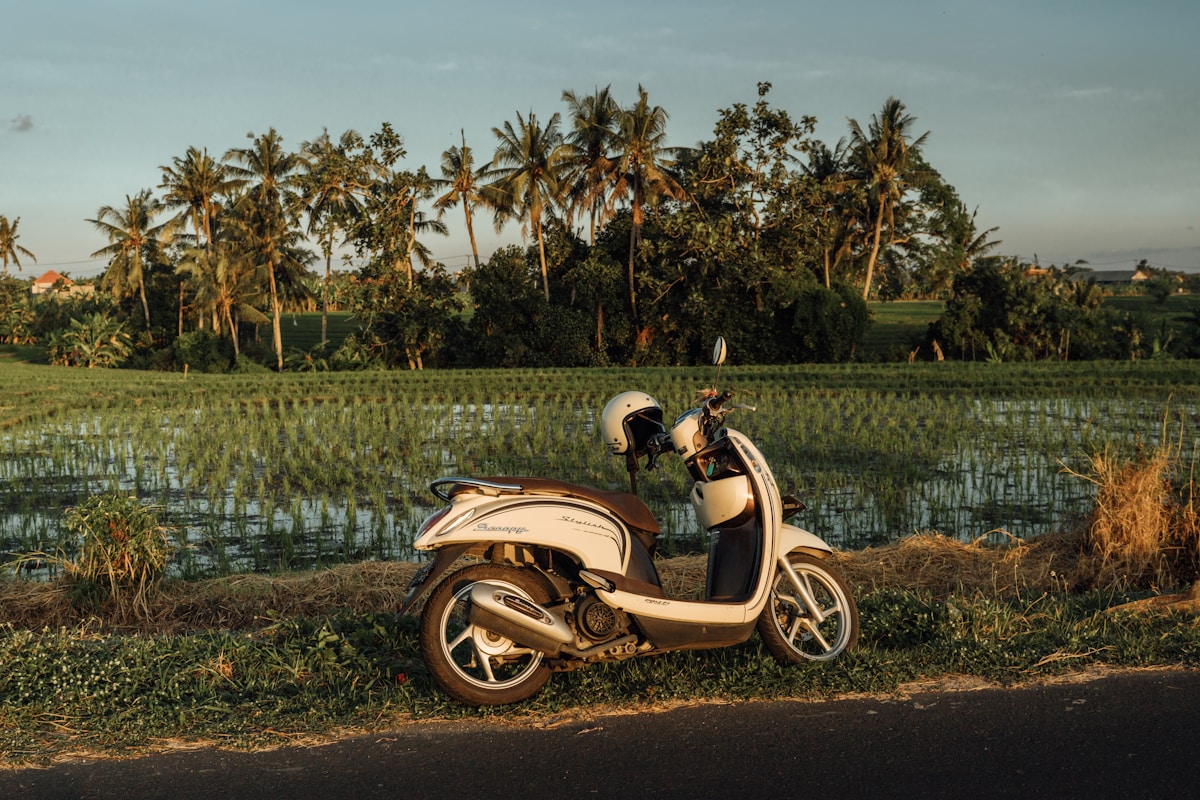 Scooter parked on a narrow road surrounded by rice terraces in Ubud, Bali