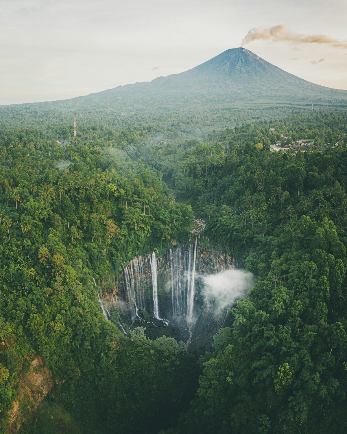 Green trees near volcanic mountain, East Java, Indonesia