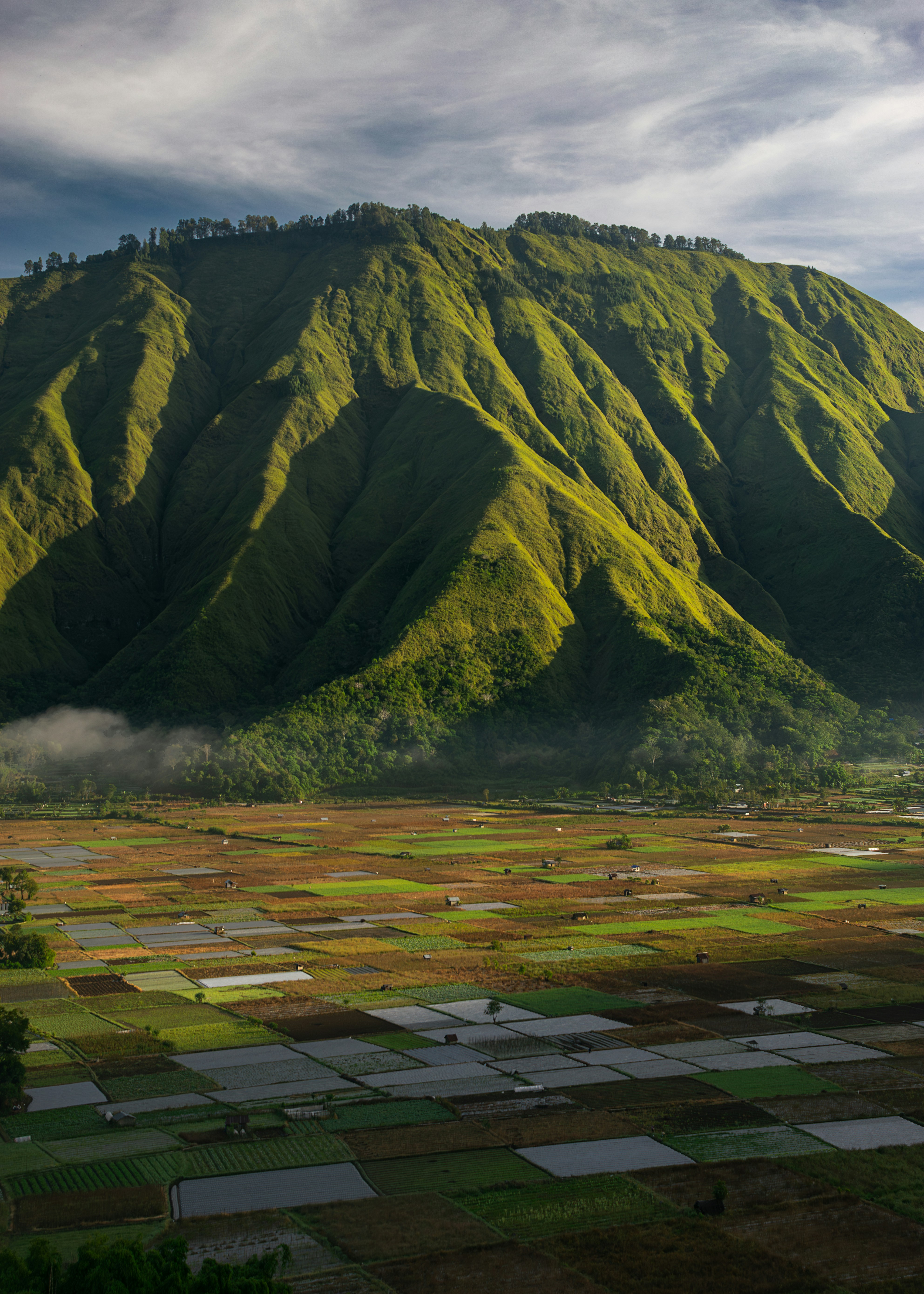 Green mountain valley at Bukit Selong Sembalun, East Lombok, Indonesia
