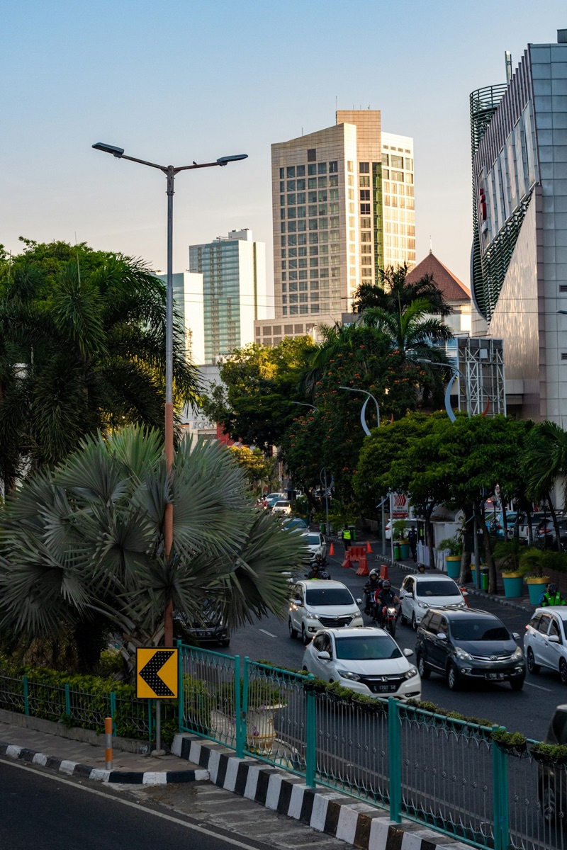 City street with palm trees and modern buildings in central Surabaya, East Java
