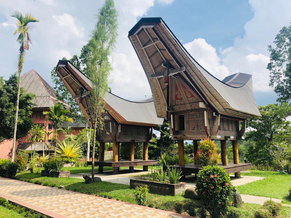 Traditional Torajan tongkonan houses with curved boat-shaped roofs surrounded by tropical trees, Sulawesi, Indonesia