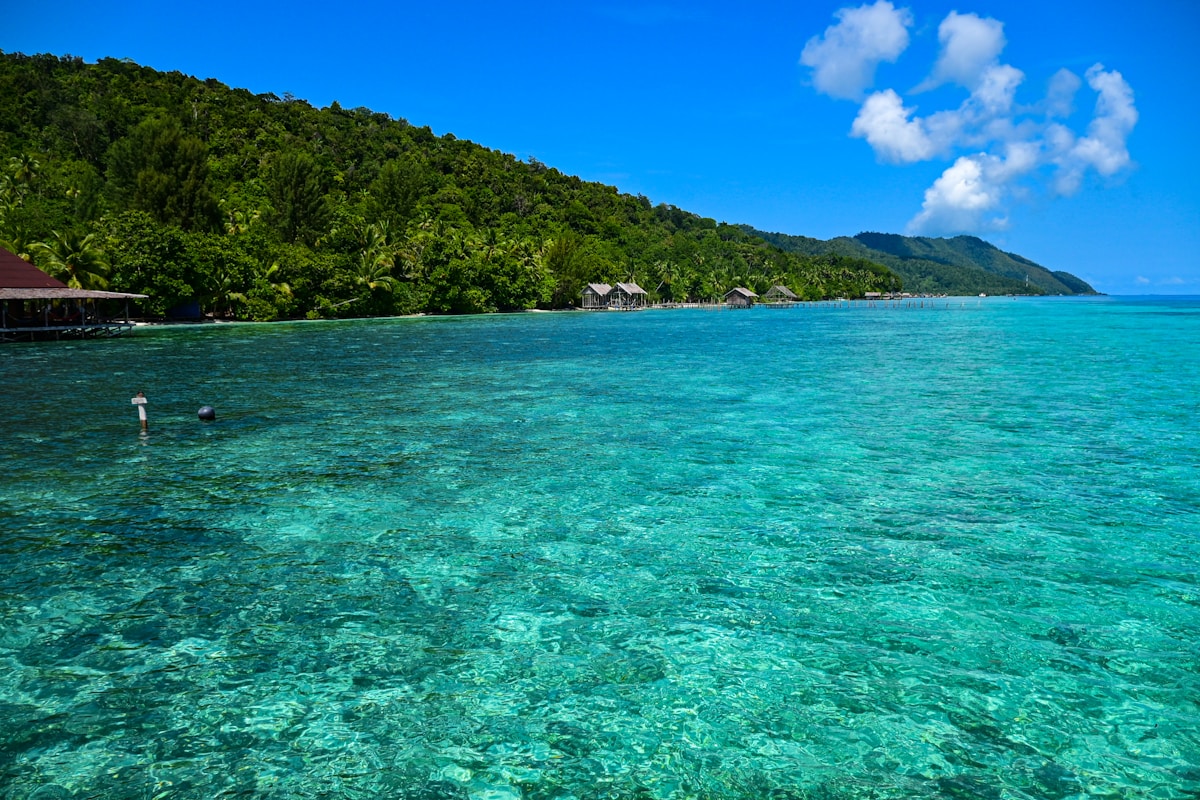 Tropical island viewed from the water, Raja Ampat, West Papua, Indonesia