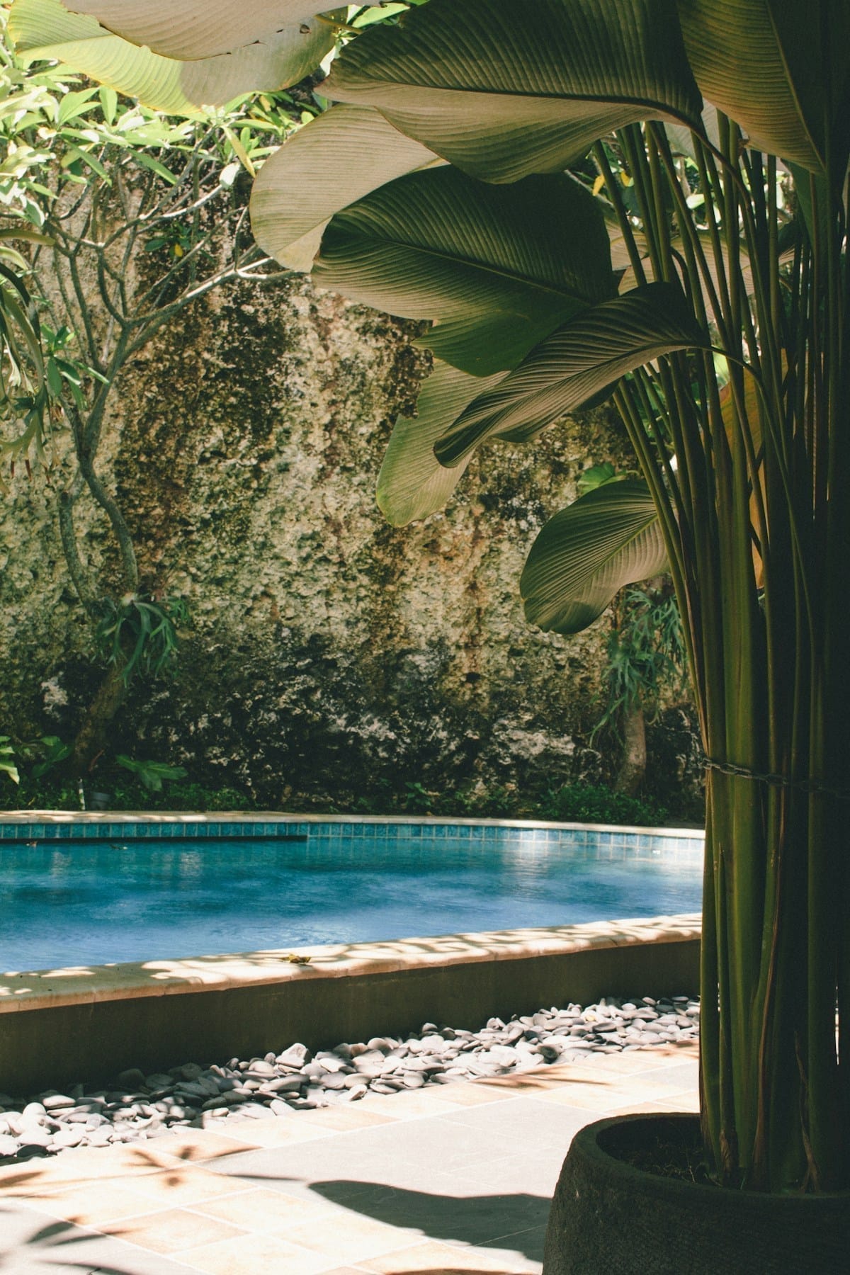 Swimming pool near green trees, Surabaya, Indonesia
