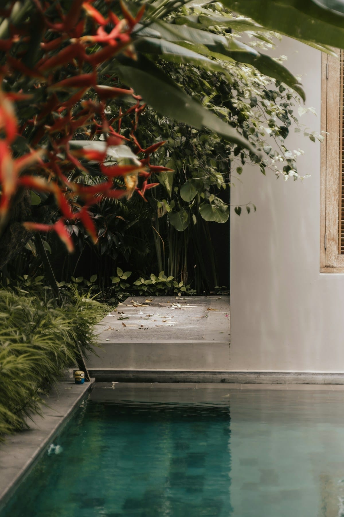 Tropical pool villa with red-leaf tree and lush garden, Bali, Indonesia