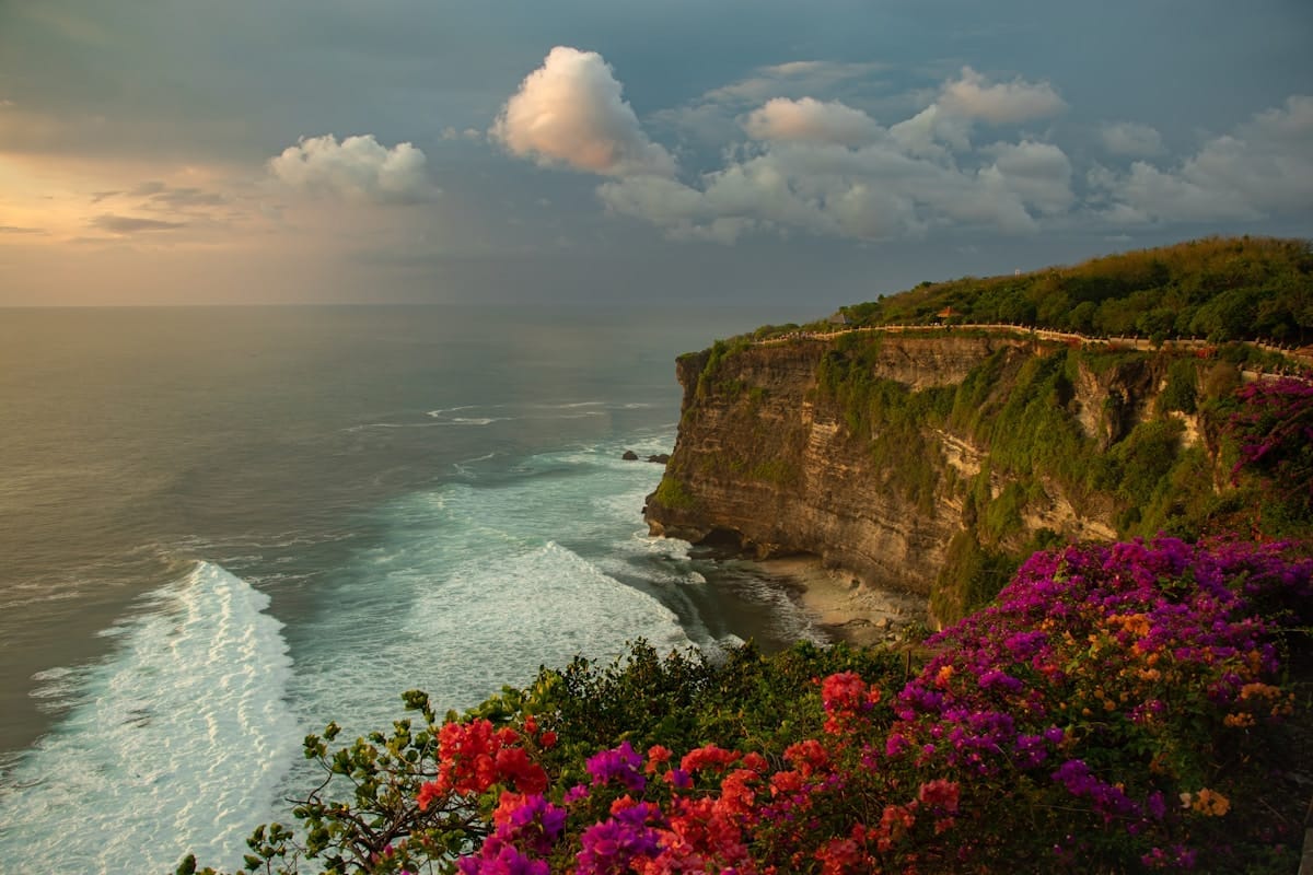 Cliff with tropical flowers overlooking ocean, Uluwatu, Bali, Indonesia