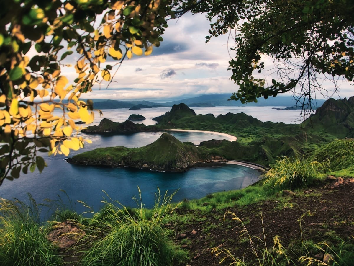 Tropical bay with rocky islands and vivid blue water viewed from a grassy hilltop, Flores, Indonesia