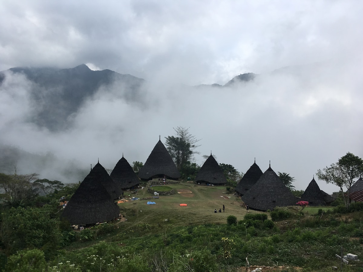 Traditional conical thatched-roof village houses in misty green highlands near Ruteng, Flores, Indonesia